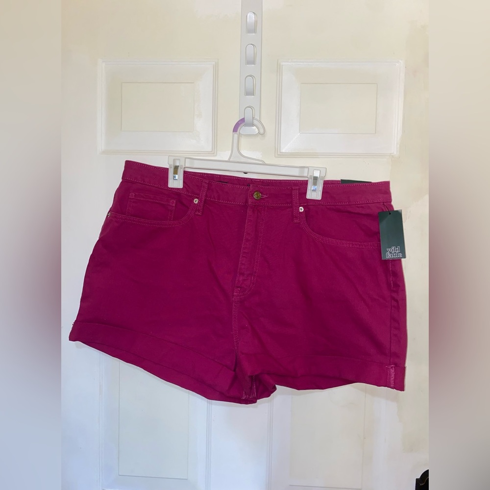 Pink Denim Shorts | High Rise | High Waisted